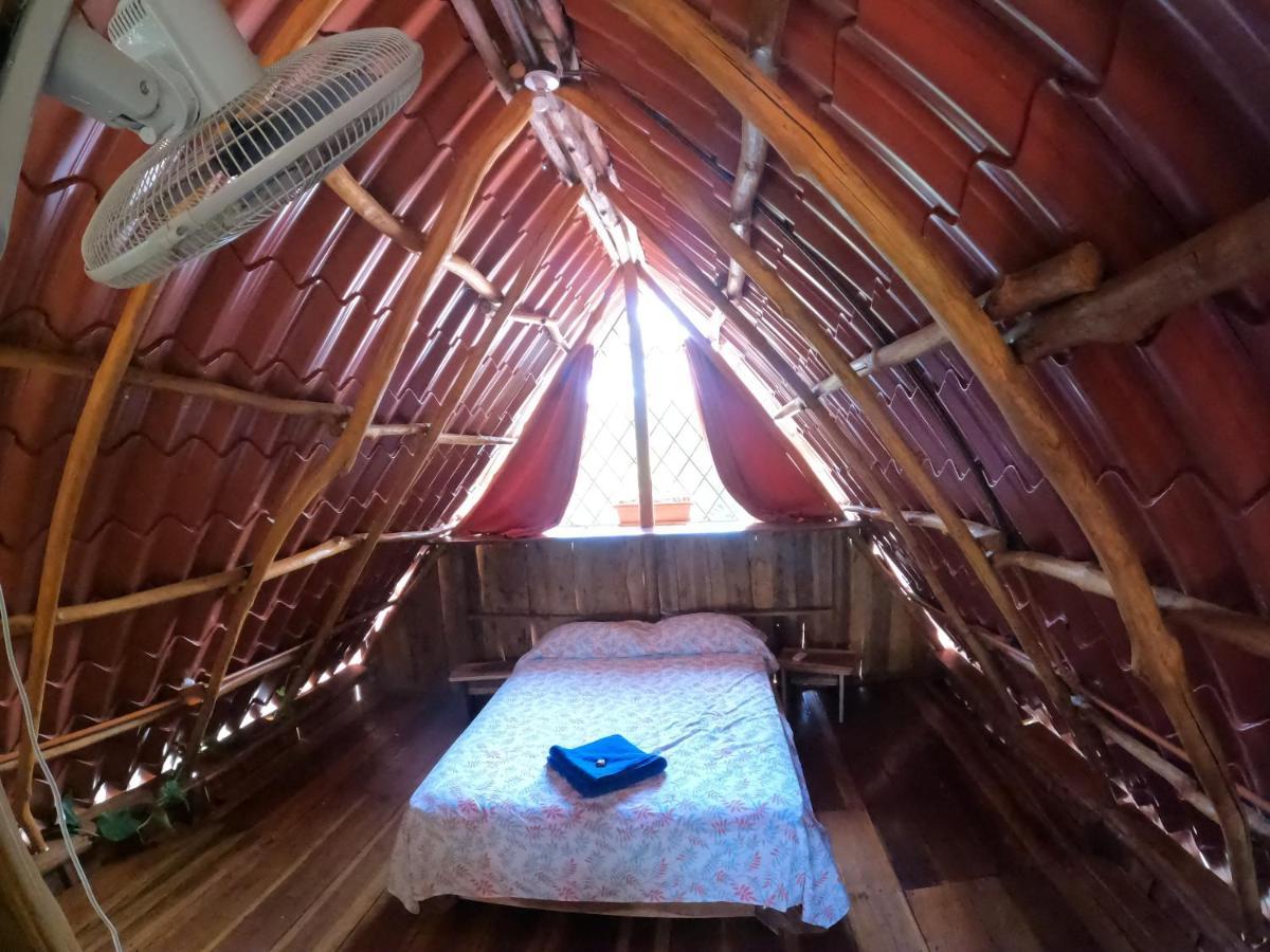 Tree House Samanea Lodge Пуерто Лимон Екстериор снимка