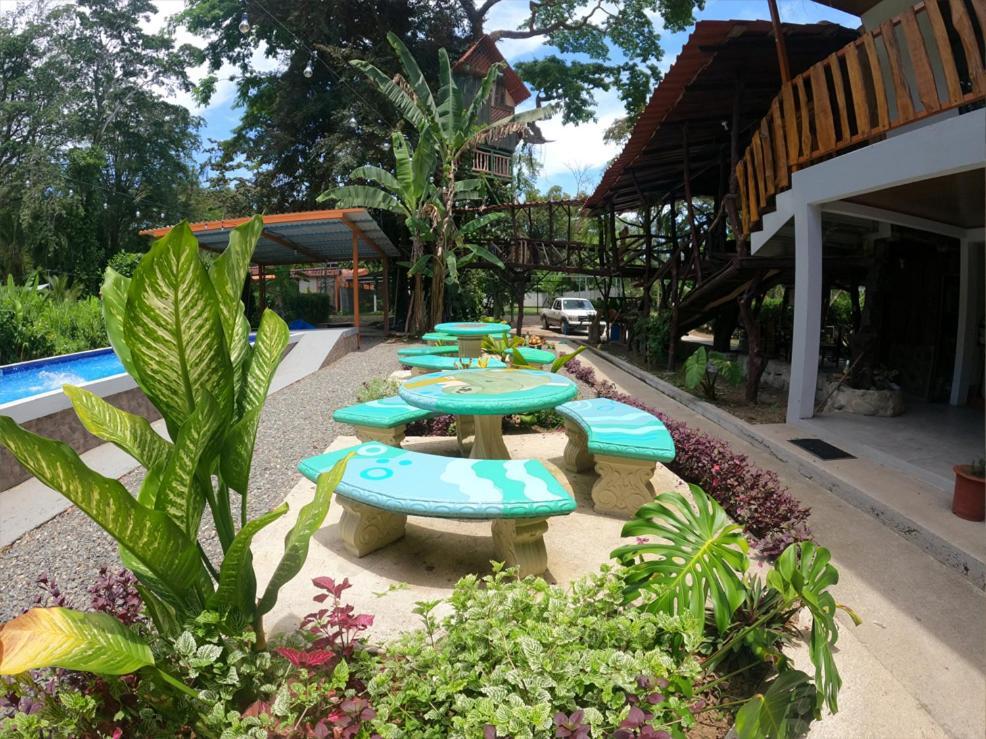 Tree House Samanea Lodge Пуерто Лимон Екстериор снимка
