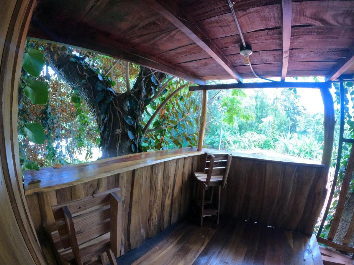Tree House Samanea Lodge Пуерто Лимон Екстериор снимка