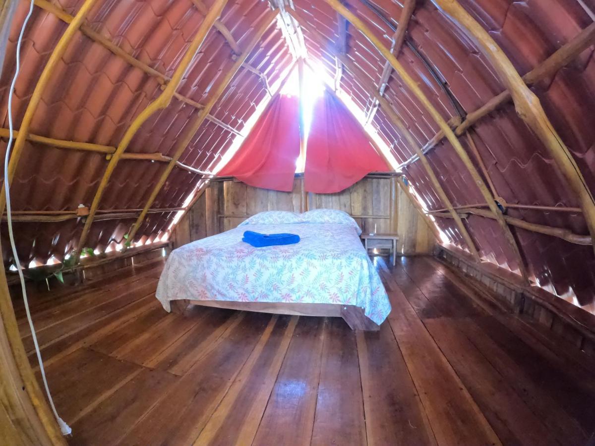 Tree House Samanea Lodge Пуерто Лимон Екстериор снимка