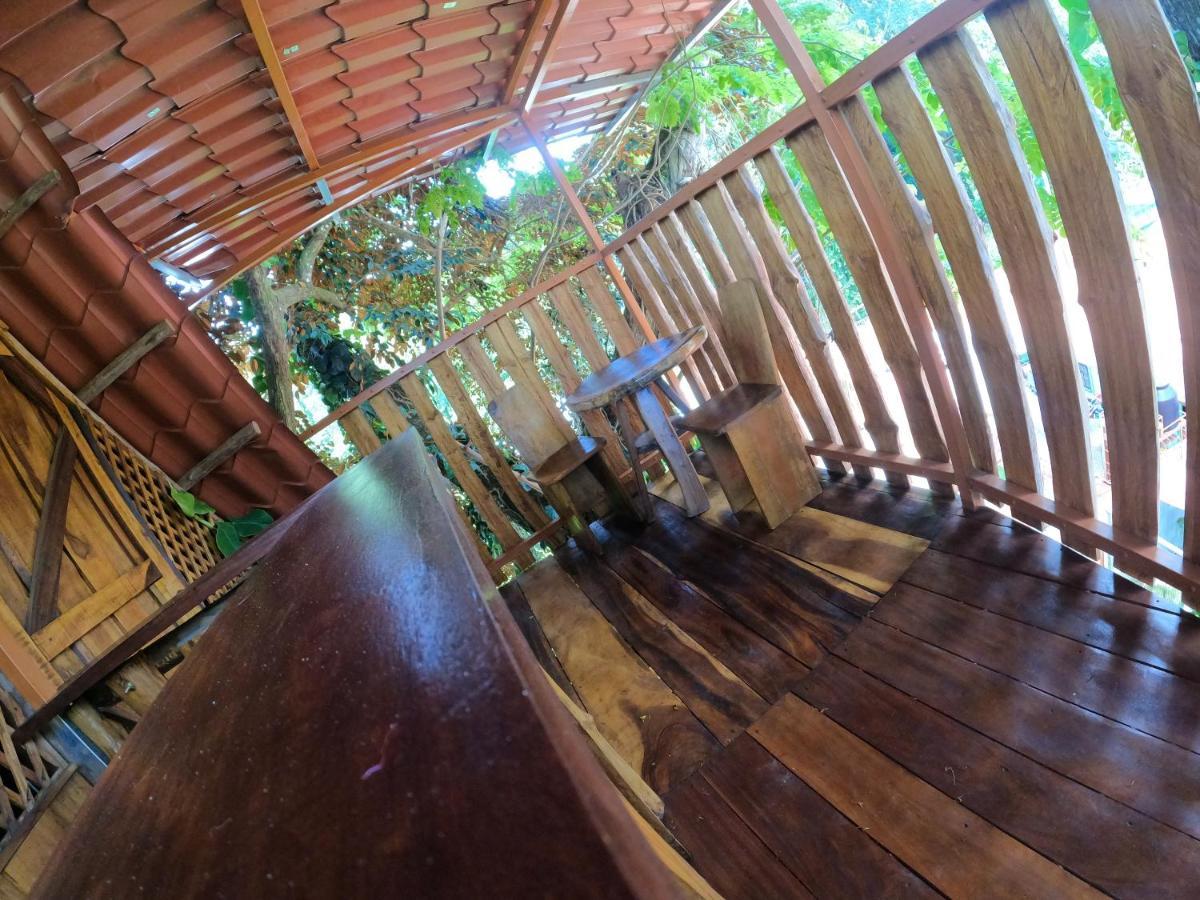 Tree House Samanea Lodge Пуерто Лимон Екстериор снимка