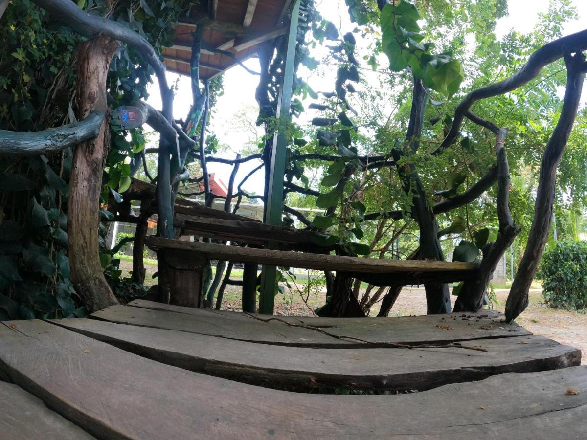 Tree House Samanea Lodge Пуерто Лимон Екстериор снимка
