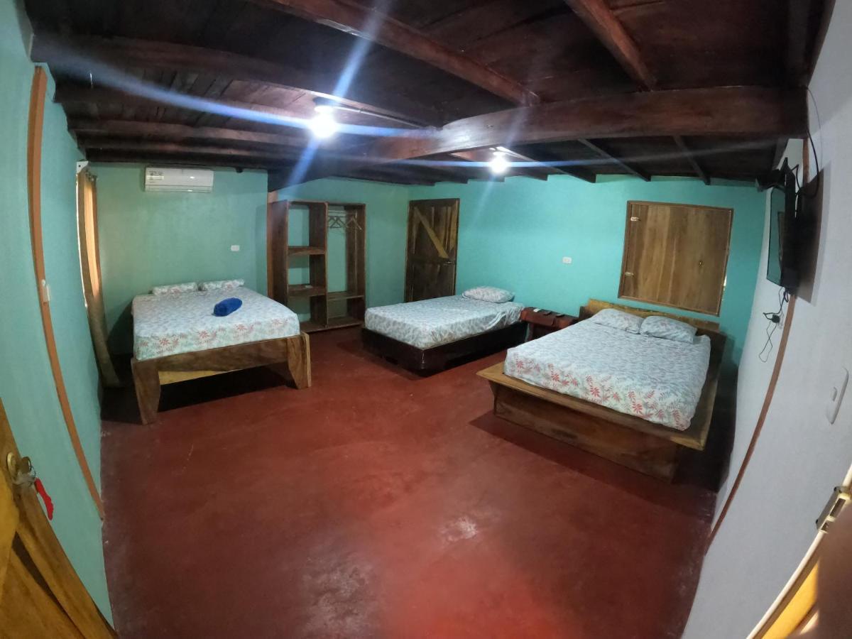 Tree House Samanea Lodge Пуерто Лимон Екстериор снимка