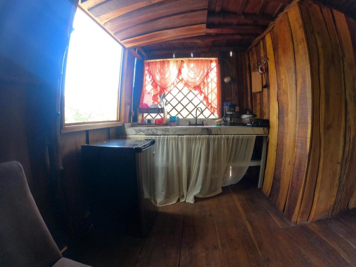 Tree House Samanea Lodge Пуерто Лимон Екстериор снимка