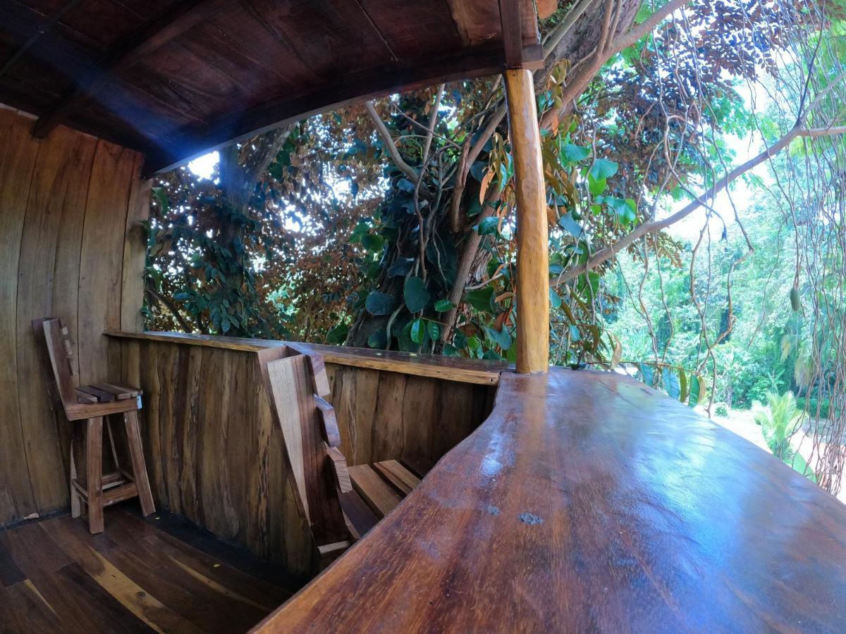 Tree House Samanea Lodge Пуерто Лимон Екстериор снимка